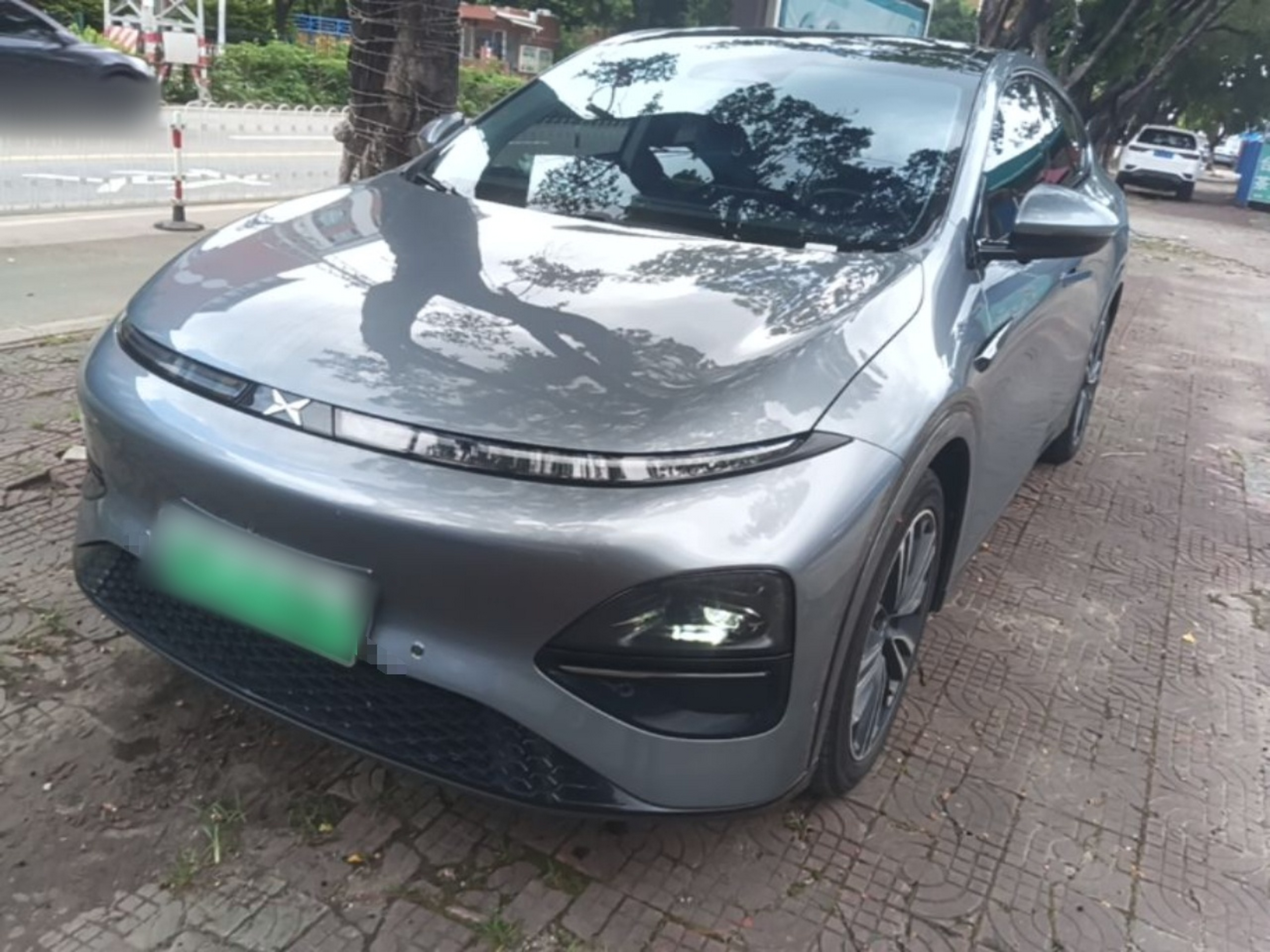 Parte inferior delantera