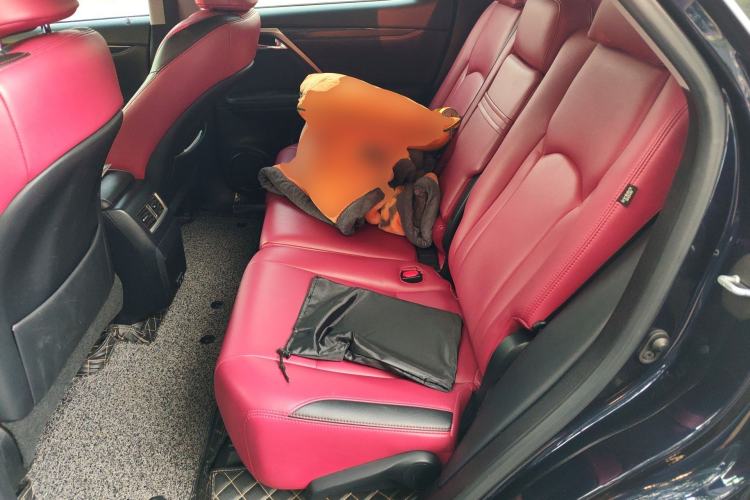 Used Lexus RX 2020 Revised Version 300 Two-Wheel Drive Elite Edition Left Rear Seat