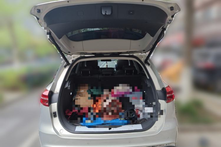 Used Hongqi HS5 2019 2.0T Smart Connect Flagship Edition