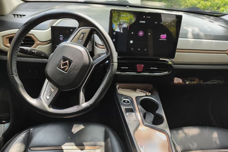 Used SOL E10X 2022 Flower Fairy Design Sunflower
