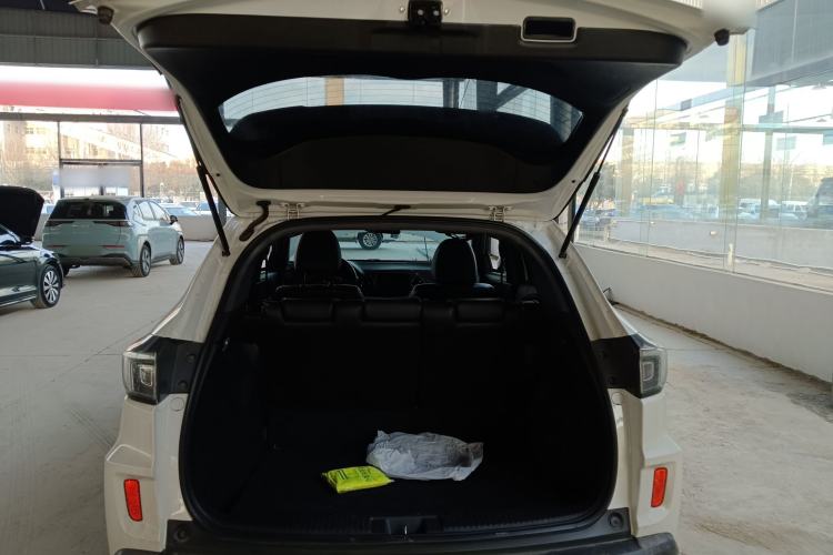 Used CIIMO X-NV 2020 Electric Edition
