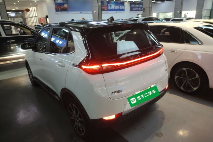 Used Dayun Yuehu 2021 32.85 kWh Two-Wheel-Drive Sprite Version Rear Left 45 Deg