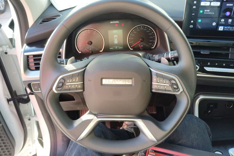 Used Haval H6 2023 National Trend Edition 1.5T Automatic Urban Version
