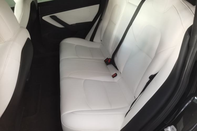 Used Tesla Model 3 2019 Long-Range Rear-Wheel-Drive Version Left Rear Seat