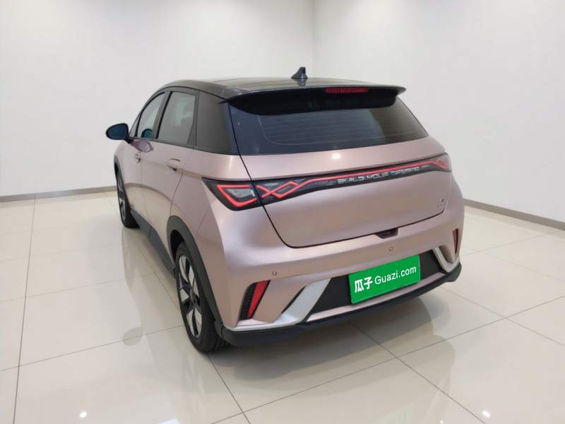 Used BYD Dolphin 2021 401km Knight Edition — 4