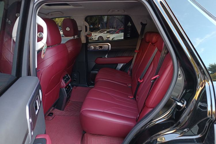 Used Tank 400 2025 2.0T Gasoline Version