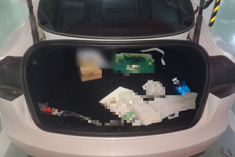 Used Tesla Model 3 2023 Rear-Wheel-Drive Version