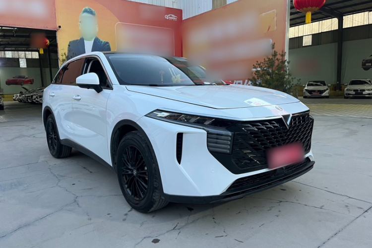 Used Venucia V 2021 260T Idol Edition Exterior 2