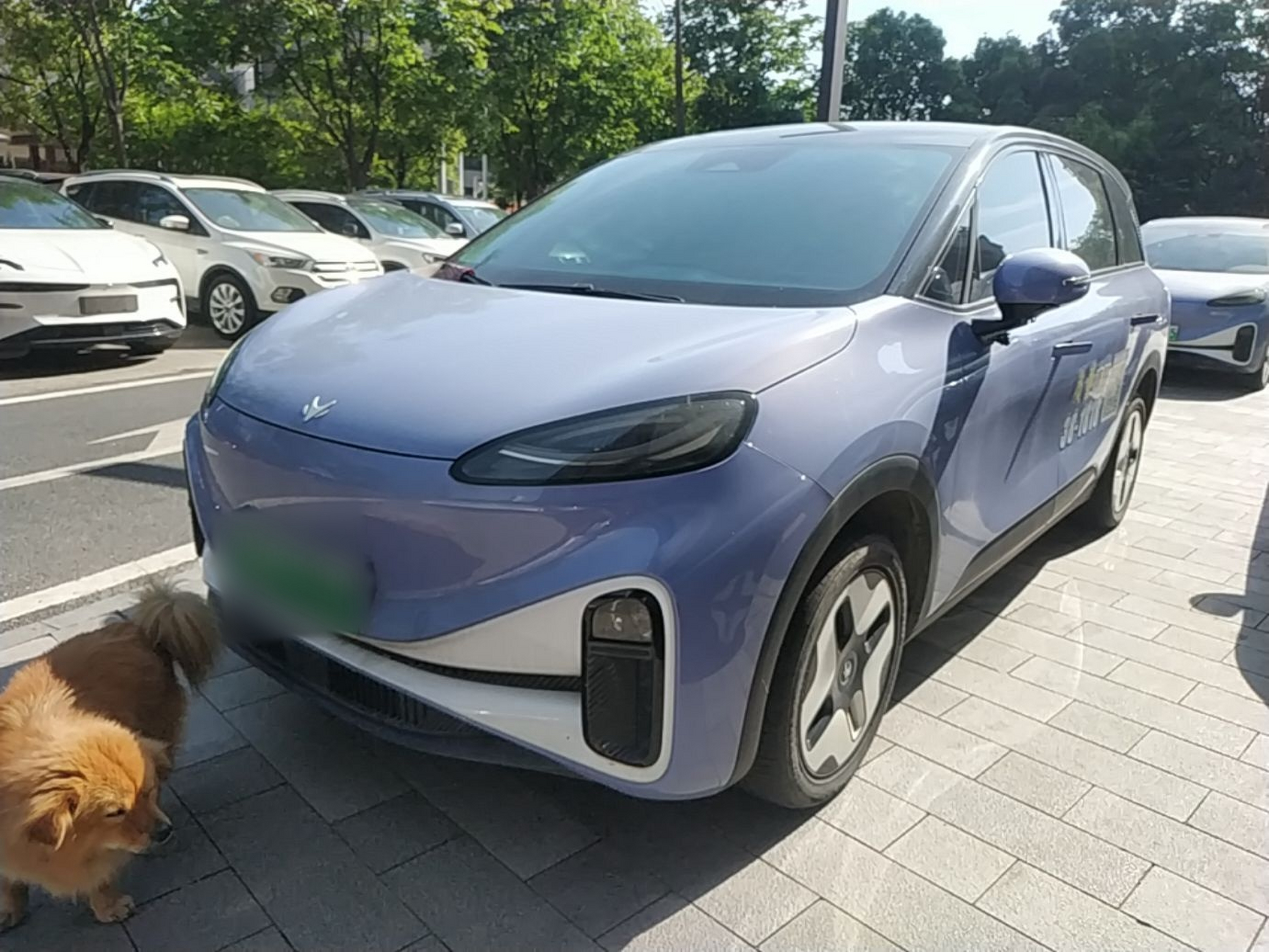 Под передней частью автомобиля