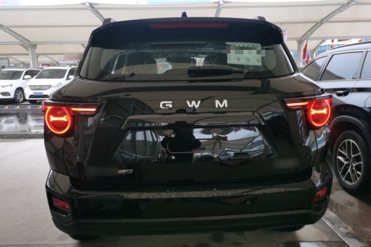 Used Haval H Dog 2026 Model 2.0T Trendy Wilderness Edition
