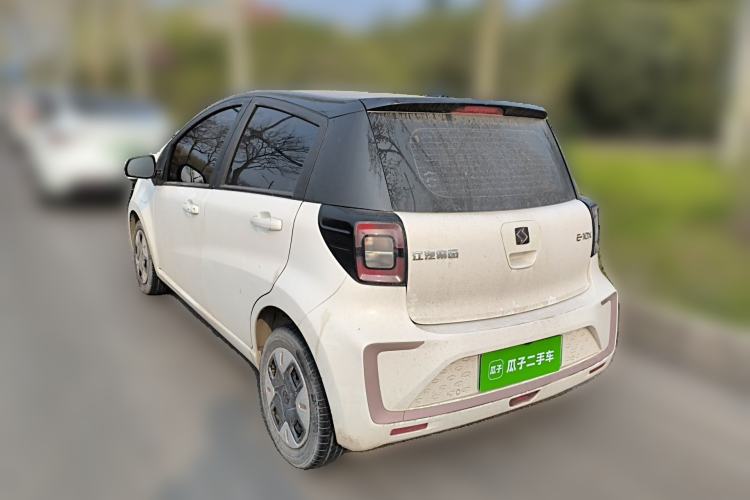 Used SOL E10X 2022 Flower Fairy Design Four-Leaf Clover