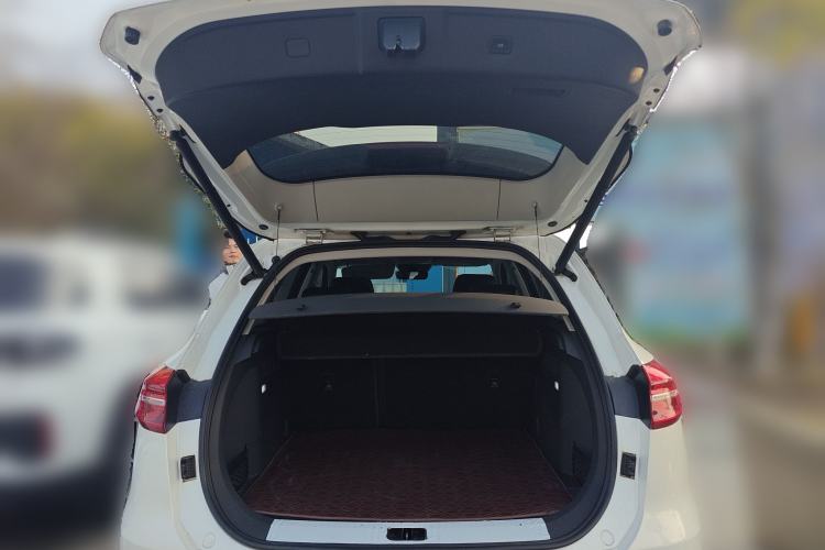 Used Hongqi HS5 2019 2.0T Smart Connect Flagship Edition