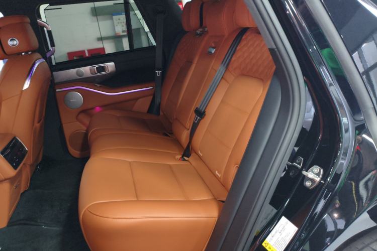 Used Tank 700 New Energy 2024 Hi4-T Extreme Edition Left Rear Seat