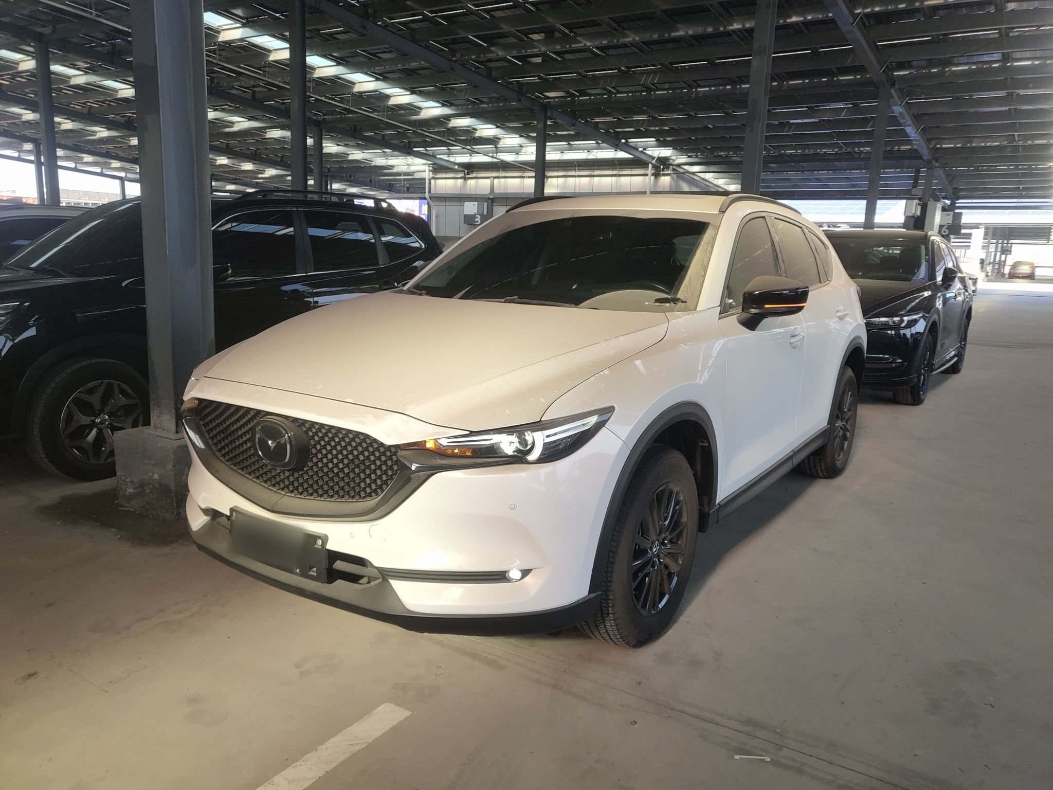 Parte inferior delantera