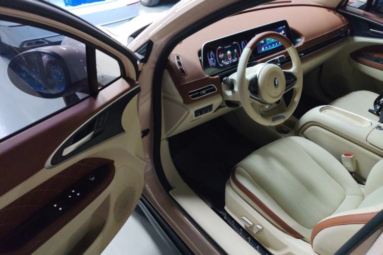 Used ORA Good Cat 2023 401 km Standard Range Premium Version Lithium Iron Phosphate Driver Seat