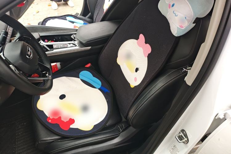 Used Geely Auto Preface 2021 2.0TD Luxury Version
