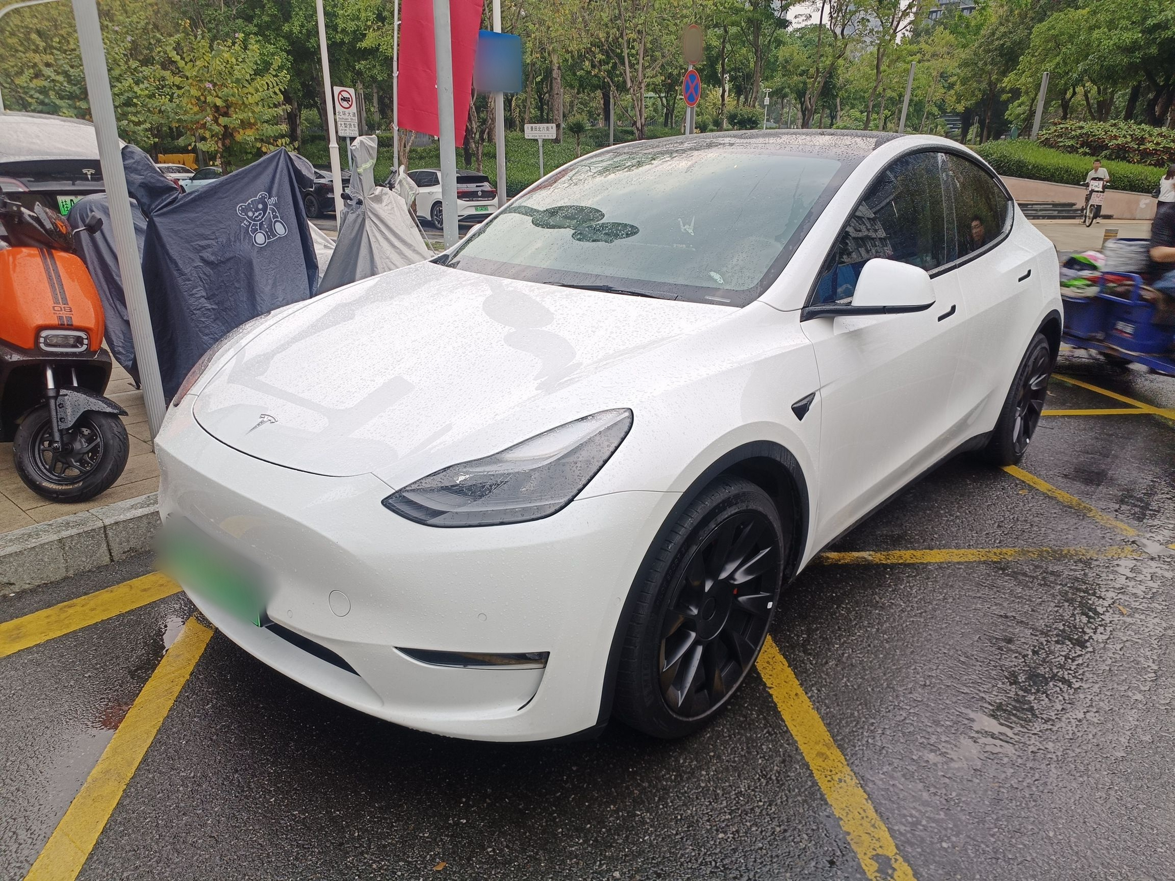 تحت مقدمة السيارة