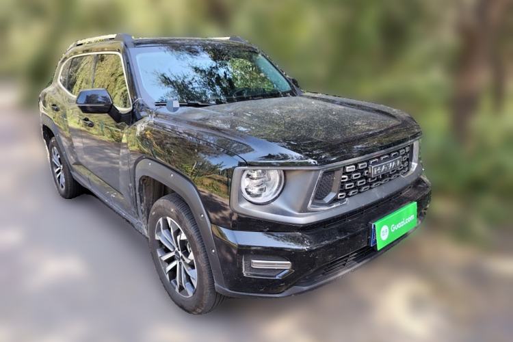 Used Haval H Dog 2023 2.0T Two-Wheel Drive Chaoye Version Plus