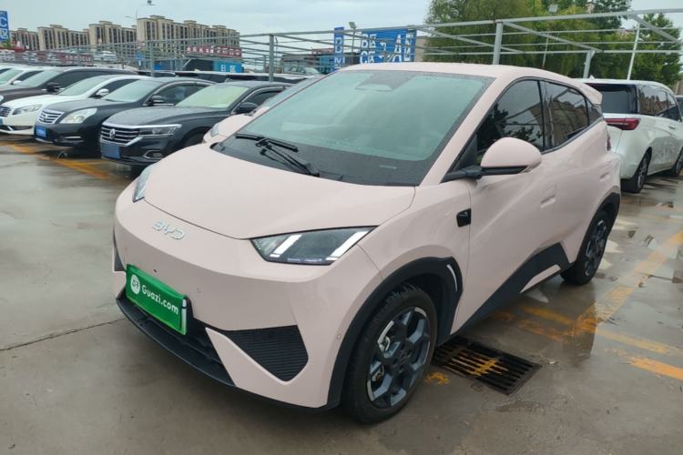 Used BYD Seagull 2025 Smart Drive Version 305 km Freedom Edition