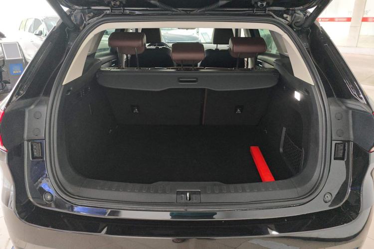 Used Wey VV6 2021 2.0T Two-Wheel Drive Smart Protection+