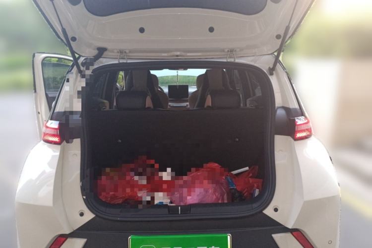 Used BYD Seagull 2023 Free Edition