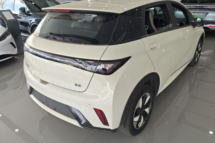 Used BYD Dolphin 2025 420km Free Edition