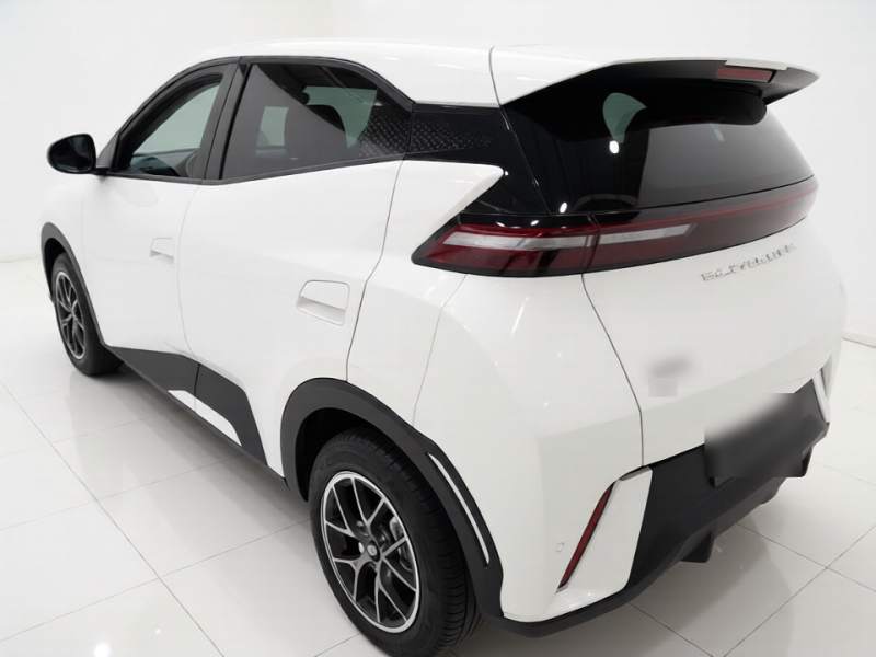 Used BYD Seagull 2024 Honor Edition 305km Dynamic Version — 4