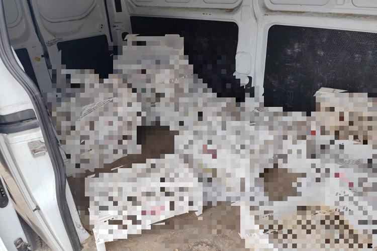 Used Ford Transit 2019 2.0T Diesel Van Mid-Chassis Mid-Roof 3-Seater China VI Standard
