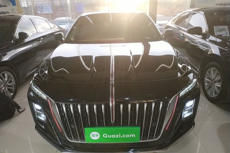 Used Hongqi H5 2024 2.0T Automatic Smart Connect Flagship Edition Front