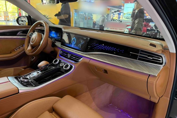 Used Hongqi H9 2020 2.0T Smart Connect Flagship Edition