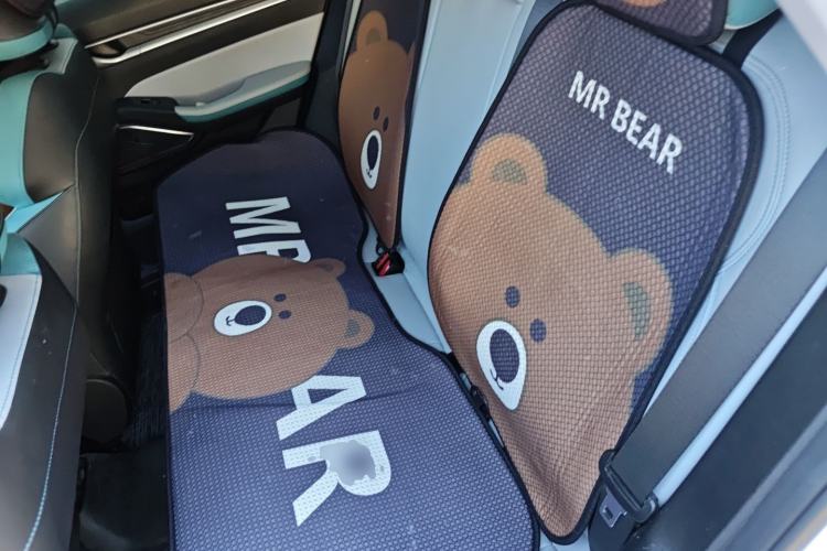 Used Geely Auto Emgrand 2023 4th Generation Champion Edition 1.5L CVT Flagship Model Left Rear Seat