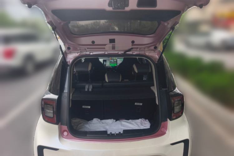 Used SOL E10X 2022 Flower Fairy Design Sunflower Trunk