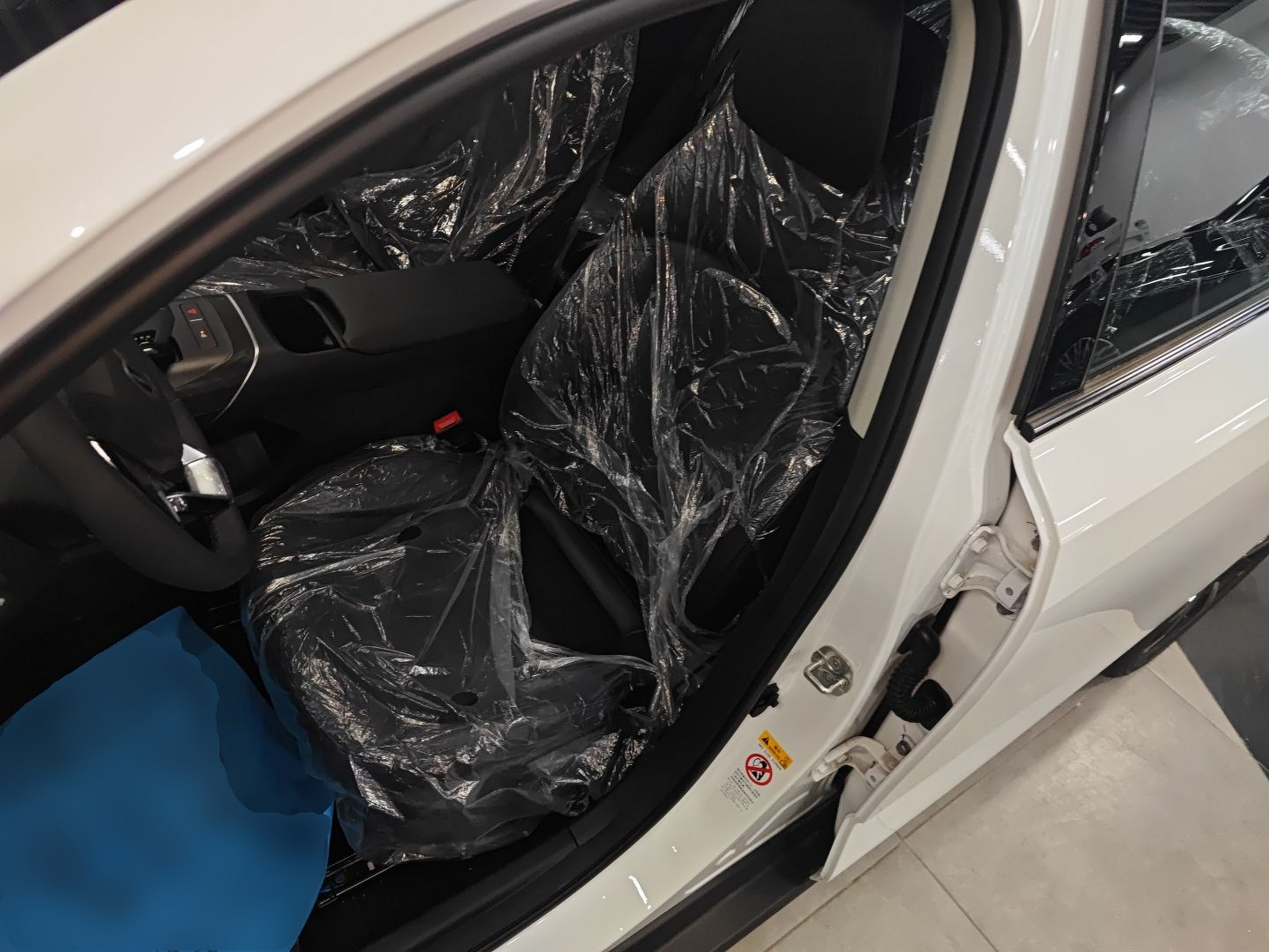 Interior delantero