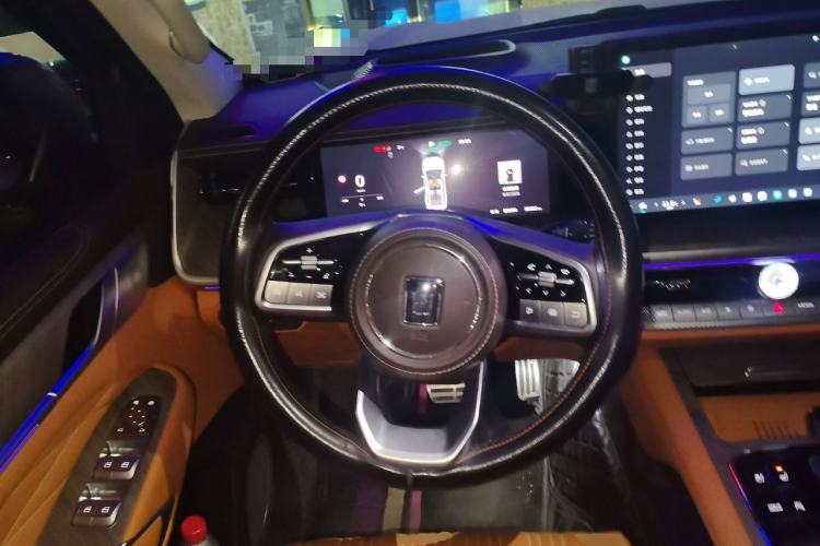 Used Tank 500 New Energy 2025 Hi4-Z
