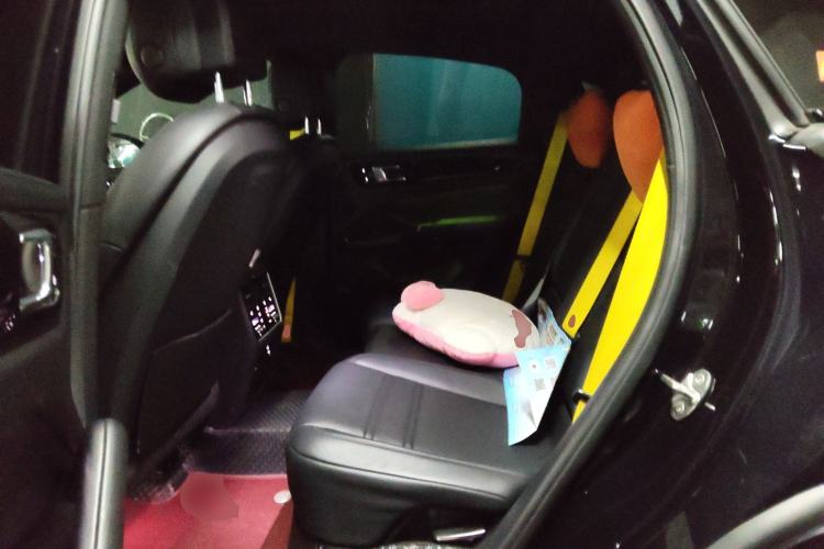 Used Porsche Cayenne 2019 Coupé 3.0T Left Rear Seat