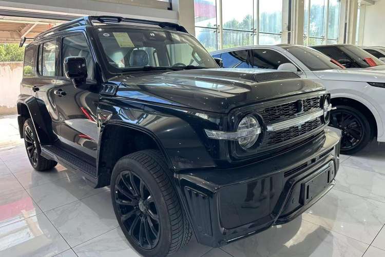 Used Cyberspace Tank 300 2023 2.0T Cyber Knight
