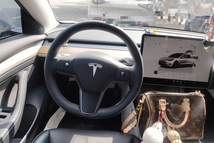 Used Tesla Model 3 2022 Rear-Wheel-Drive Version
