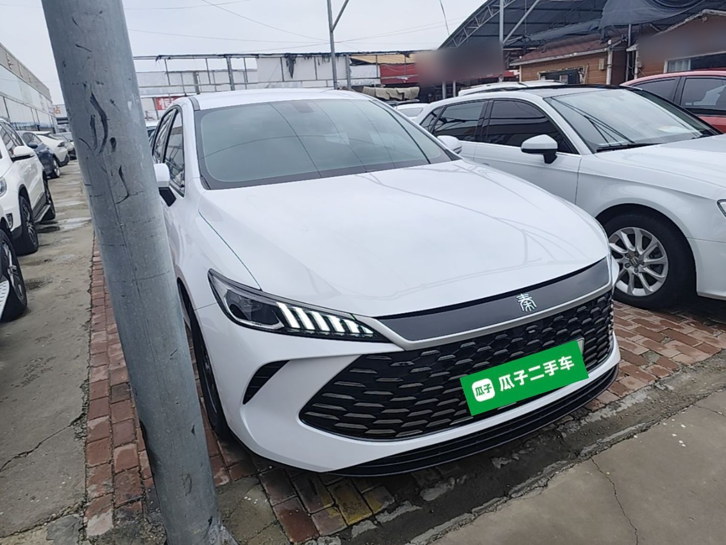 BYD Qin PLUS 2025 DM-i Smart Drive 55KM Leading Model — снимка 3