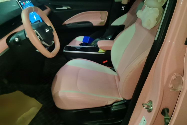 Used NETA V 2022 Chao 400 Lite Pink Custom Edition
