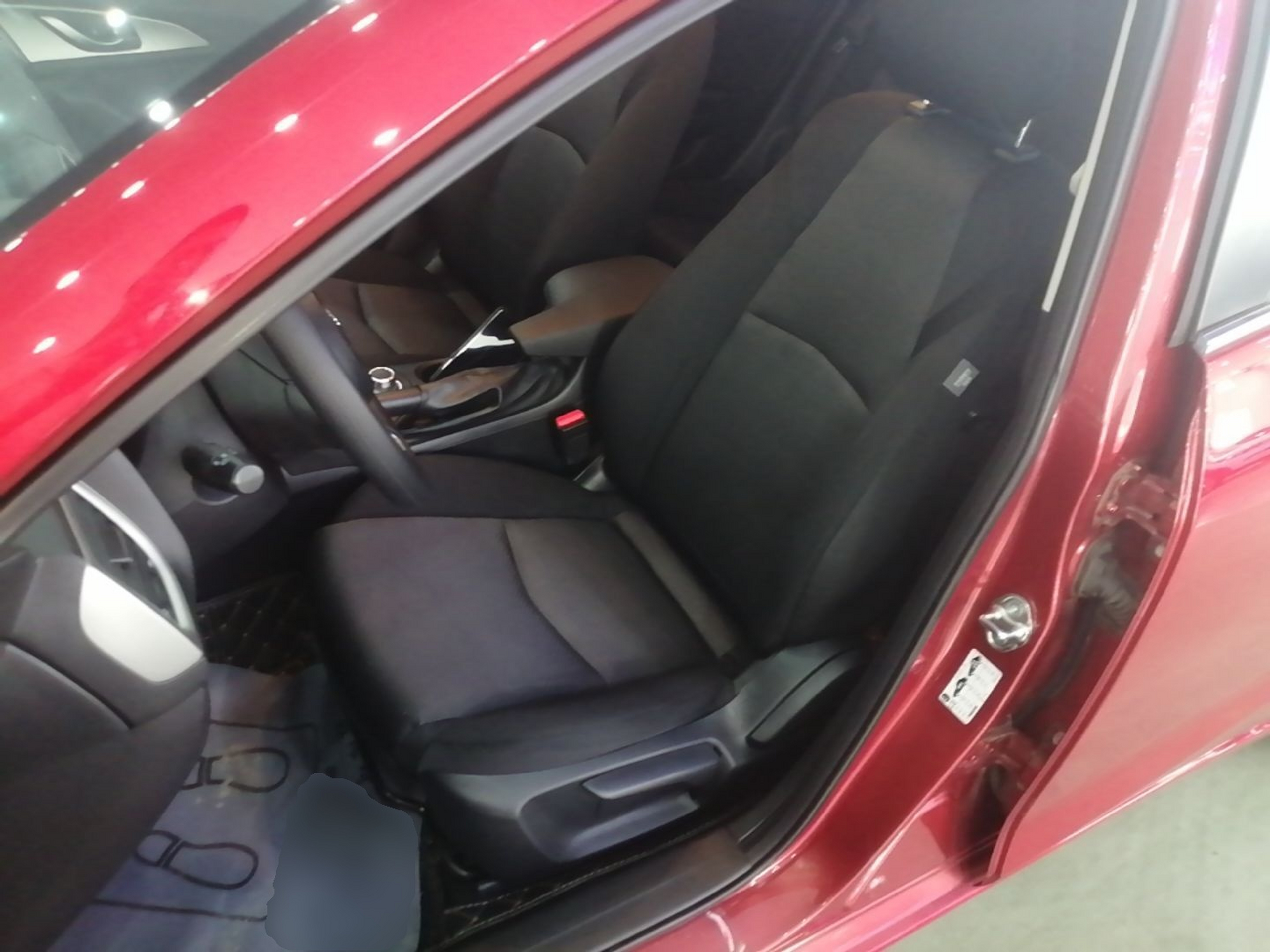 Interior delantero