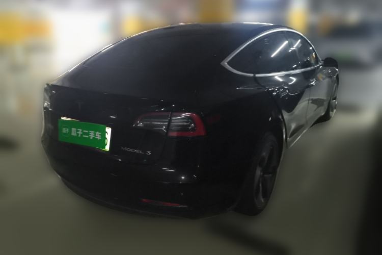 Used Tesla Model 3 2020 Standard Range Rear-Wheel Drive Upgraded Version Rear Right 45 Deg