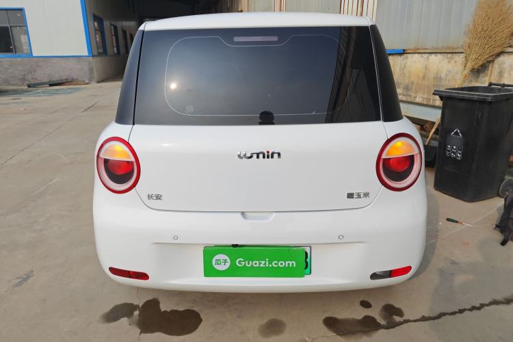 Used Qiyuan Lumin 2022 210km Sweet Edition
