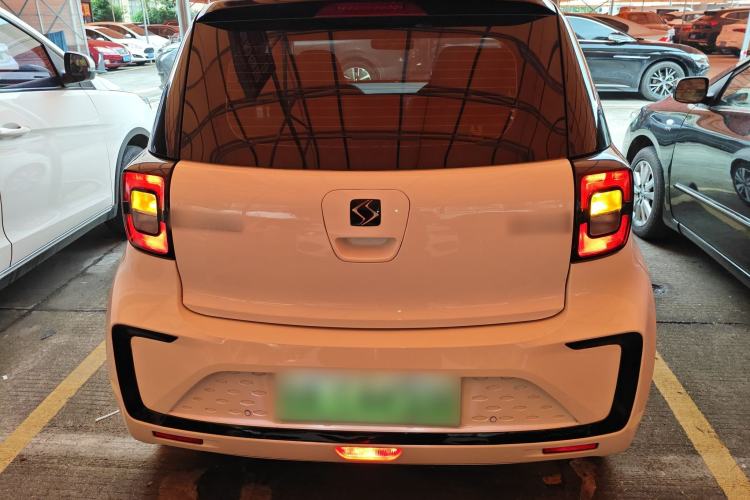 Used SOL E10X 2022 Flower Fairy Design Four-Leaf Clover Rear