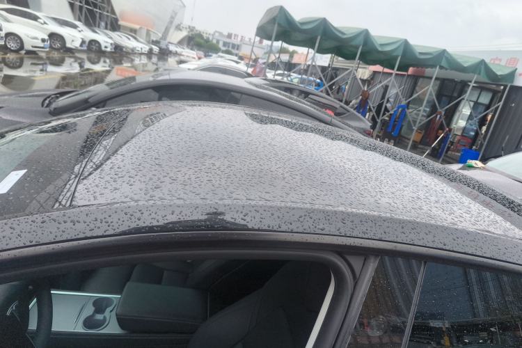 Used Tesla Model Y 2024 Rear-Wheel-Drive Version Roof