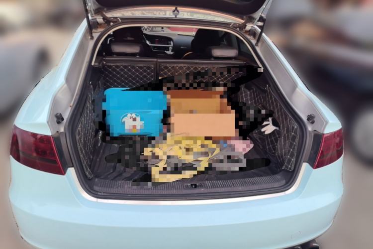 Used Audi A5 2010 2.0TFSI Sportback Comfort Model Trunk