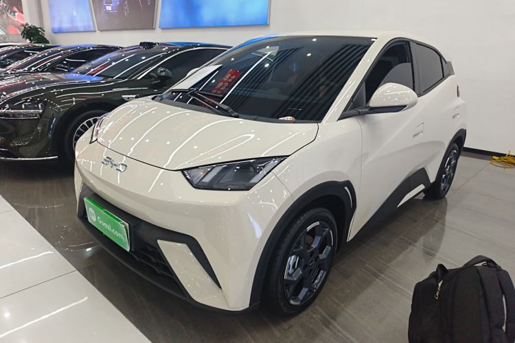 Used BYD Seagull 2025 305 km Free Version