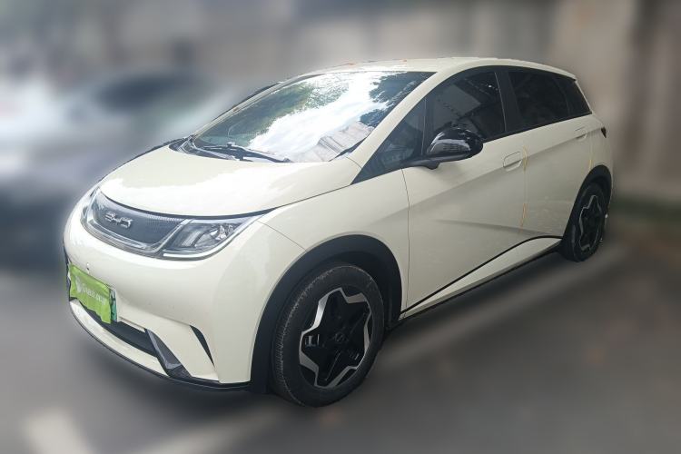 Used BYD Dolphin 2021 405 km Free Version