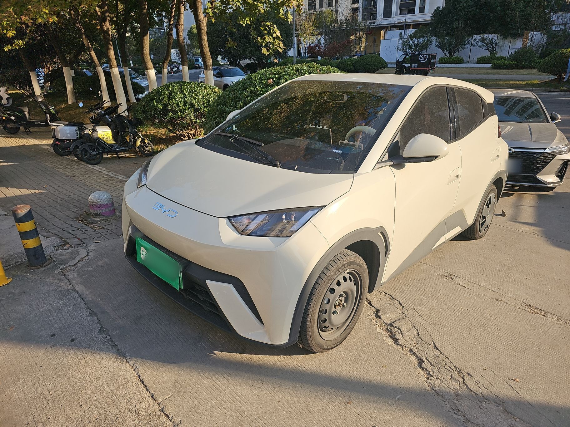 تحت مقدمة السيارة