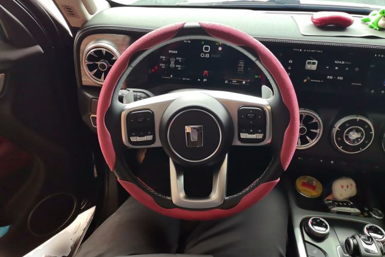 Used Tank 300 2024 2.0T Conqueror