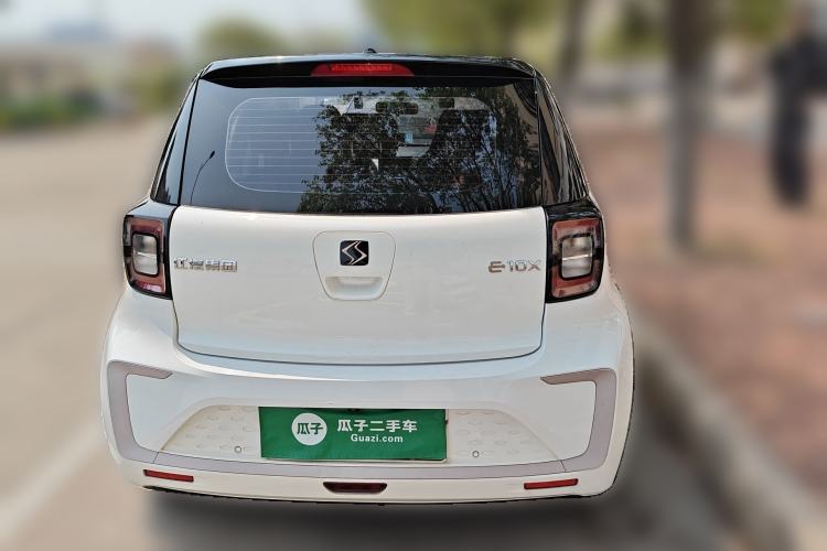 Used SOL E10X 2022 Flower Fairy Design Four-Leaf Clover